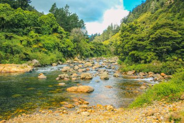 Yeni Zelanda 'nın Kuzey Adası' ndaki Karangahake Boğazı