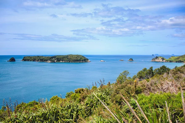 Prachtig landschap op weg naar Cathedral Cove op Coromandel Peninsula, North Island, Nieuw-Zeeland — Stockfoto