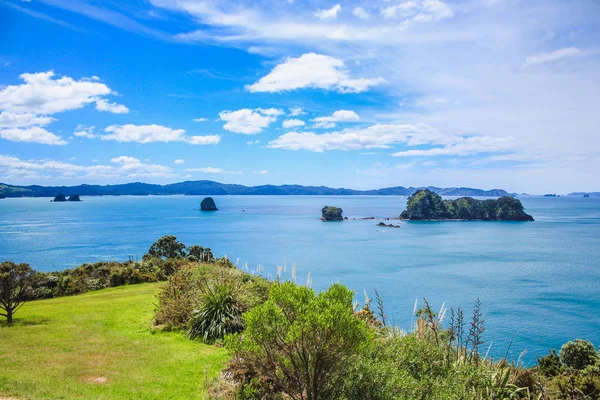 Prachtig landschap op weg naar Cathedral Cove op Coromandel Peninsula, North Island, Nieuw-Zeeland — Stockfoto