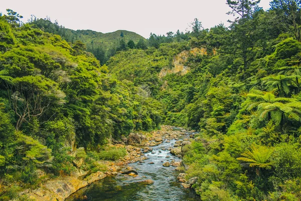 Karangahake-Schlucht auf der Nordinsel Neuseelands — Stockfoto