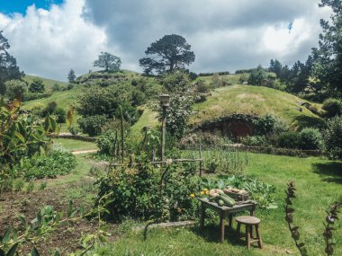 Matamata, Yeni Zelanda - 12 Aralık 2019: Hobbiton Film Set. Hobbit ve Yüzüklerin Efendisi 'nin ünlü çekim yeri.