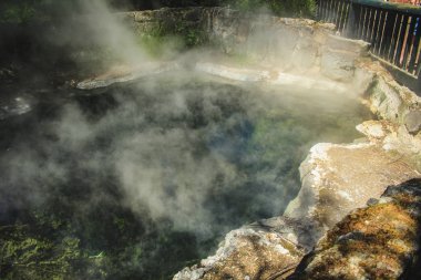 Rotorua, Kuzey Adası, Yeni Zelanda 'daki Kuirau Parkı' nda jeotermal havuz