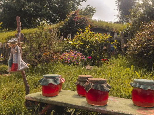 Matamata, New Zealand - 12 грудня 2019: Hobbiton Movie Set. Відоме місце зйомок "Хоббіт і володар перснів" — стокове фото