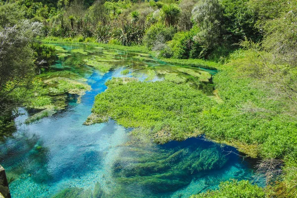 Prachtig landschap bij Blue Spring in Putaruru tussen Hamilton en Rotorua, North Island, Nieuw-Zeeland — Stockfoto