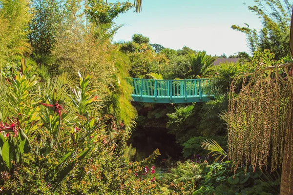 De prachtige Hamilton Gardens op het Noordereiland van Nieuw Zeeland — Stockfoto