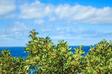 Mallorca, İspanya 'nın kuzey kıyılarının minimalist fotoğrafı