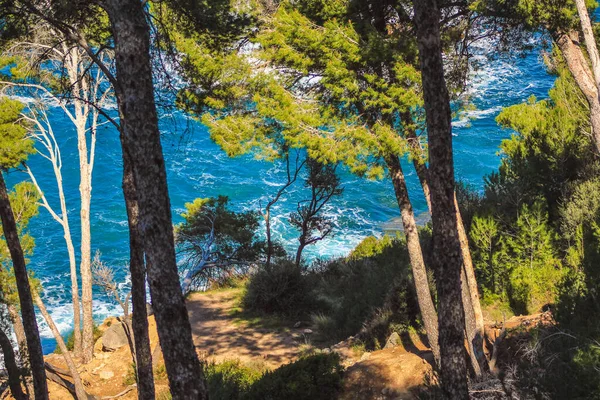 Άγρια ακτογραμμή στη βόρεια ακτή της Μαγιόρκα, Ισπανία — Φωτογραφία Αρχείου