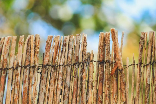 Бамбуковый забор ручной работы, используемый в саду на Майорке, Испания — стоковое фото