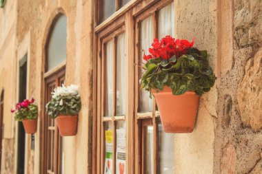 İspanya, Mallorca 'nın batı kıyısındaki Deia kasabasında taş duvarda saksılar