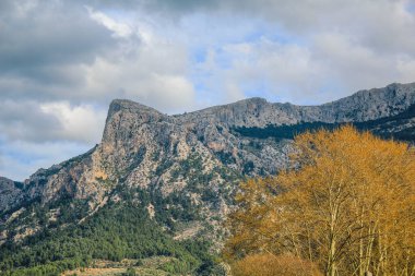 Mallorca, İspanya 'daki Serra de Tramuntana dağlarının manzarası