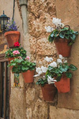 Valldemossa, Mallorca, İspanya 'da duvarda saksılar olan bir eve giriş.