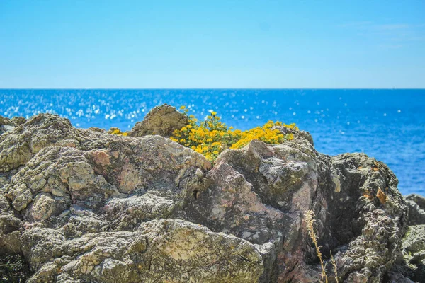 西班牙马略卡岛卡拉拉贾达粗糙海岸线景观 — 图库照片