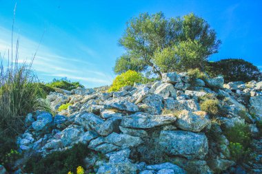 İspanya 'nın Mallorca adasındaki Parc Doğal de la Peninsula de Llevant' taki Rocky Tepesi