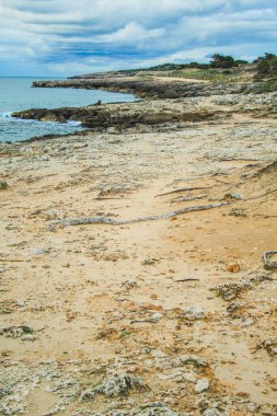 Cala Millor, Mallorca, İspanya 'daki Cap Punta de N' Amer sahili manzarası