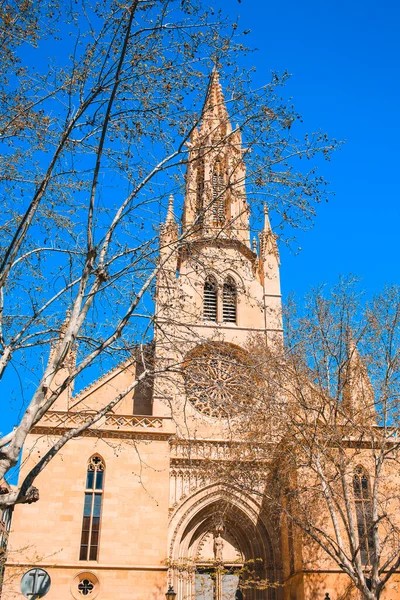 Kostel Santa Eulalia Který Nachází Hlavním Městě Palma Mallorca Španělsko — Stock fotografie