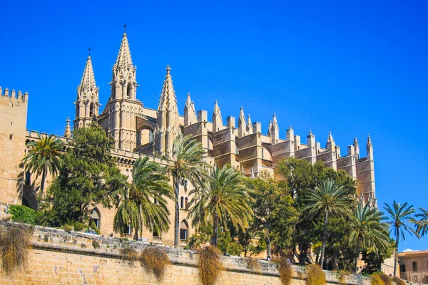 Palma Maiorca Espanha Março 2018 Catedral Santa Maria Palma Também — Fotografia de Stock