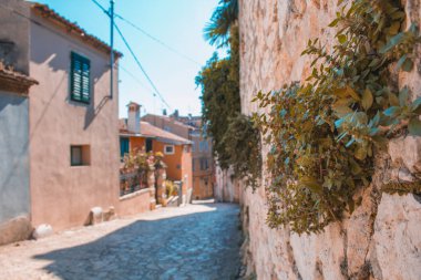 Hırvatistan 'ın Istrian Yarımadası' nın eski Rovinj kasabasındaki boş cadde. Kasaba yazın popüler bir turizm merkezidir.
