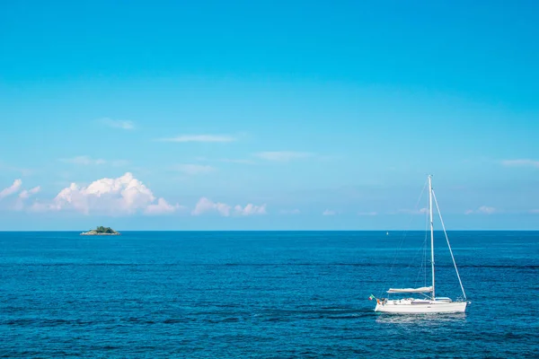 Klein Groen Eilandje Aan Kust Rovinj Schiereiland Istrië Kroatië — Stockfoto