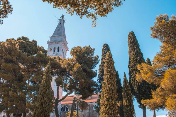 Kyrkan Saint Euphemia Rovinj Stad Istrien Halvön Kroatien — Stockfoto