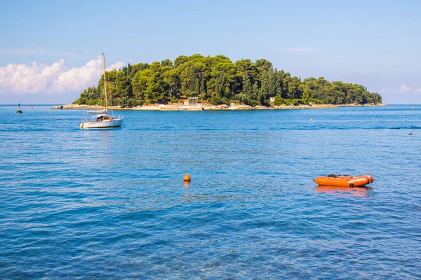 Pequeña Isla Verde Costa Rovinj Península Istria Croacia —  Fotos de Stock