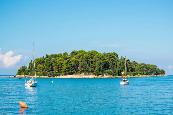 Pequena Ilha Verde Costa Rovinj Península Ístria Croácia — Fotografia de Stock