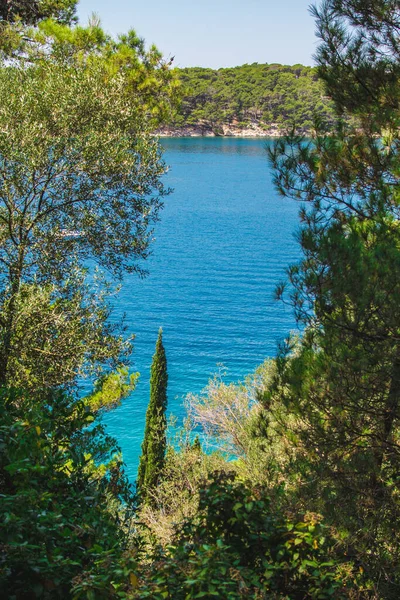 Vistas Costa Parque Cidade Komrcar Cidade Rab Ilha Rab Croácia — Fotografia de Stock