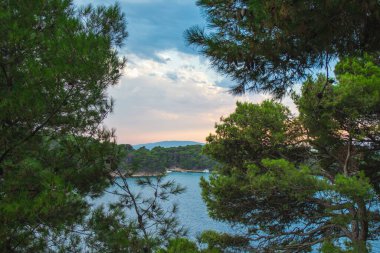 Hırvatistan 'ın Rab Adası' ndaki Rab kasabasındaki Komrcar şehir parkından kıyı şeridi manzaraları