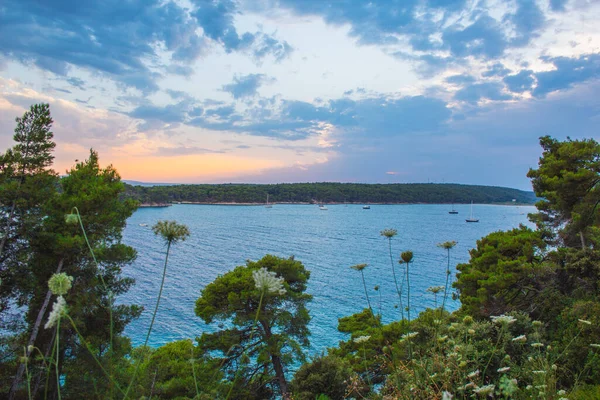 Vistas Costa Parque Cidade Komrcar Cidade Rab Ilha Rab Croácia — Fotografia de Stock