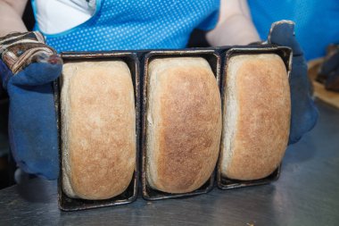 Fresh loafs of bread in form of baking bread clipart