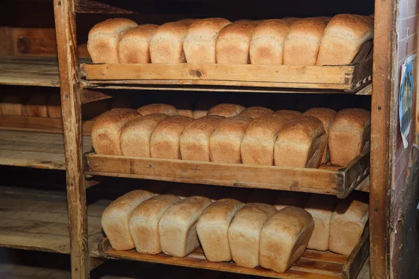 Panini freschi di pane — Foto Stock