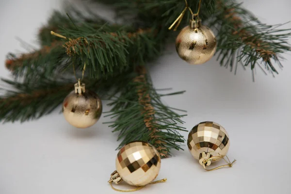 Christmas fir gren och guld pärlor — Stockfoto