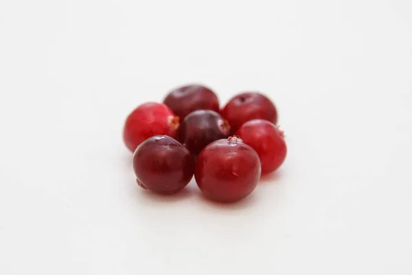 Cranberry on white background — Stock Photo, Image