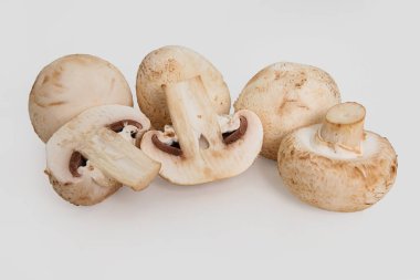 Şampiyon Mantarı beyaz arkaplanda izole edildi