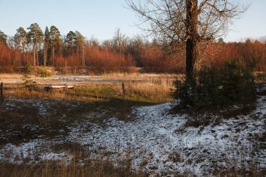 Sonbahar Nehri kıyılarında ilk kar