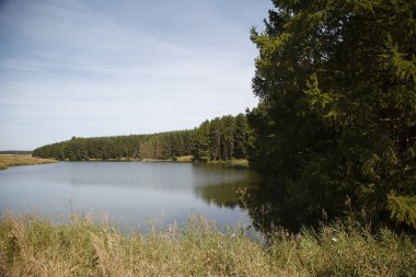 güzel yaz yatay, bir göl, Rusya Federasyonu