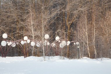Güzel kış orman manzarası, ağaçlar kar kaplı.