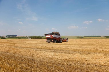 Buğday tarlasında hasat makinesini mavi gökyüzüyle birleştir.