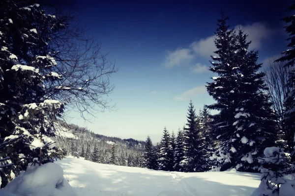 在塔特拉山雪视图中的，冬天的风景系列 — 图库照片