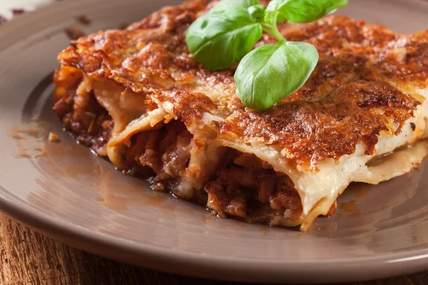 Baked cannelloni with minced meat and bechamel sauce on a plate — Stock Photo, Image