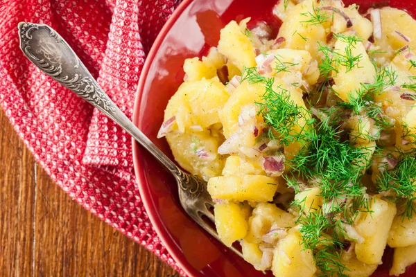 Salad kentang tradisional Jerman — Stok Foto