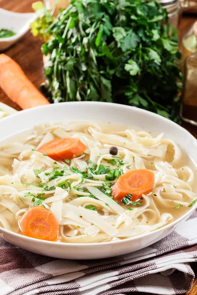 Tasty meat broth with noodles, carror and parsley — Stock Photo, Image