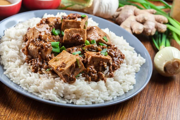 Mapo Tofu - plat épicé au sichuan servi avec du riz — Photo