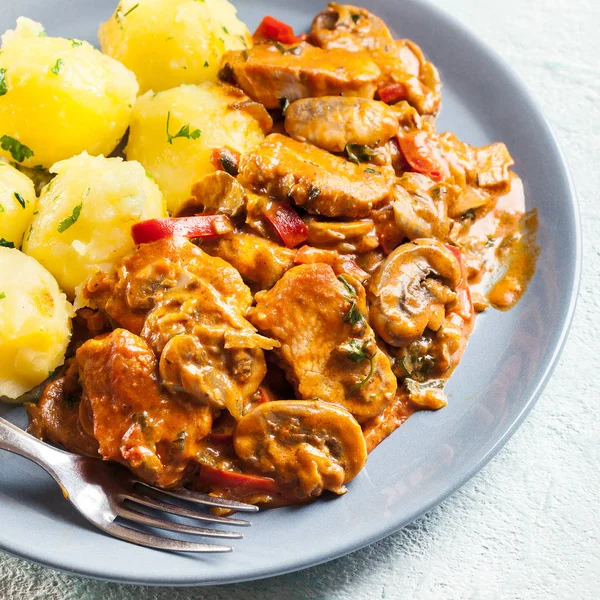 Verse kalkoenragout met champignons — Stockfoto