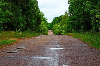 Ormandaki yol. Orman yolu.