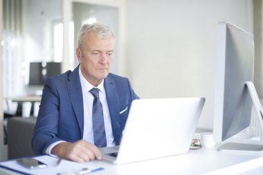 Üst düzey profesyonel iş adamı 