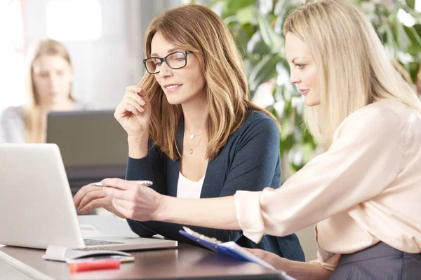 Vrouwelijke ondernemers samen te werken — Stockfoto