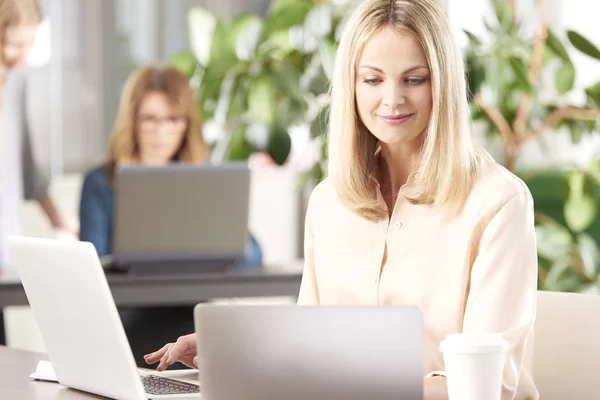 Donna d'affari utilizzando il computer portatile — Foto Stock