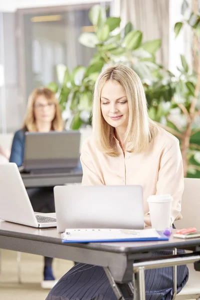 Donna d'affari utilizzando il computer portatile — Foto Stock