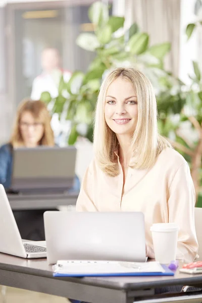 Donna d'affari utilizzando il computer portatile — Foto Stock