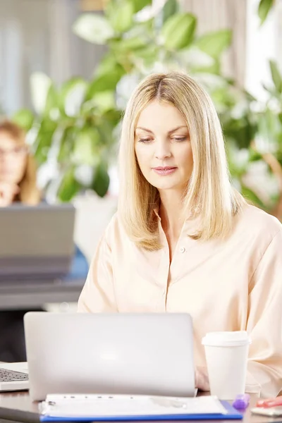 Pengusaha wanita yang bekerja di laptop — Stok Foto